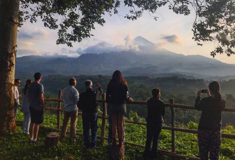 هتل Reserva Patrocinio