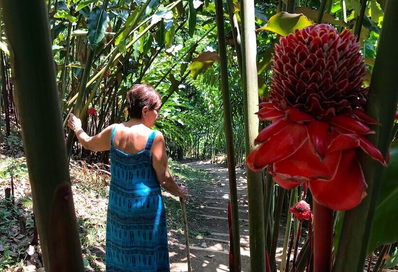 هتل Reserva Patrocinio