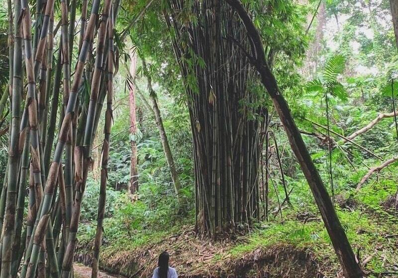 هتل Reserva Patrocinio