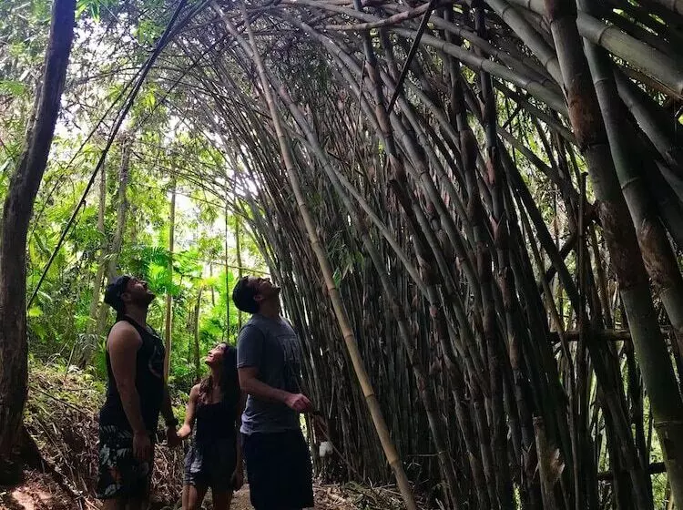 هتل Reserva Patrocinio