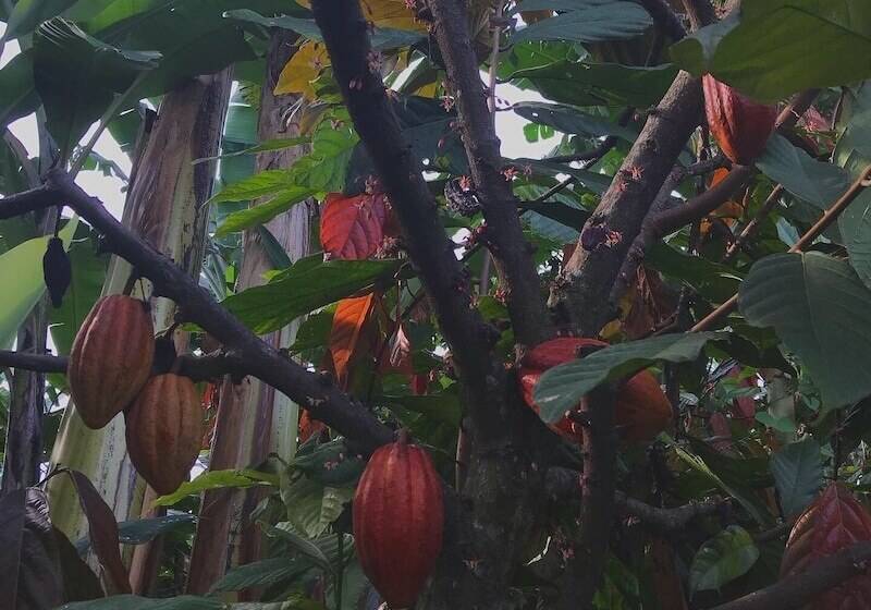 هتل Reserva Patrocinio