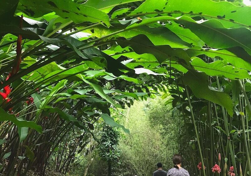 هتل Reserva Patrocinio