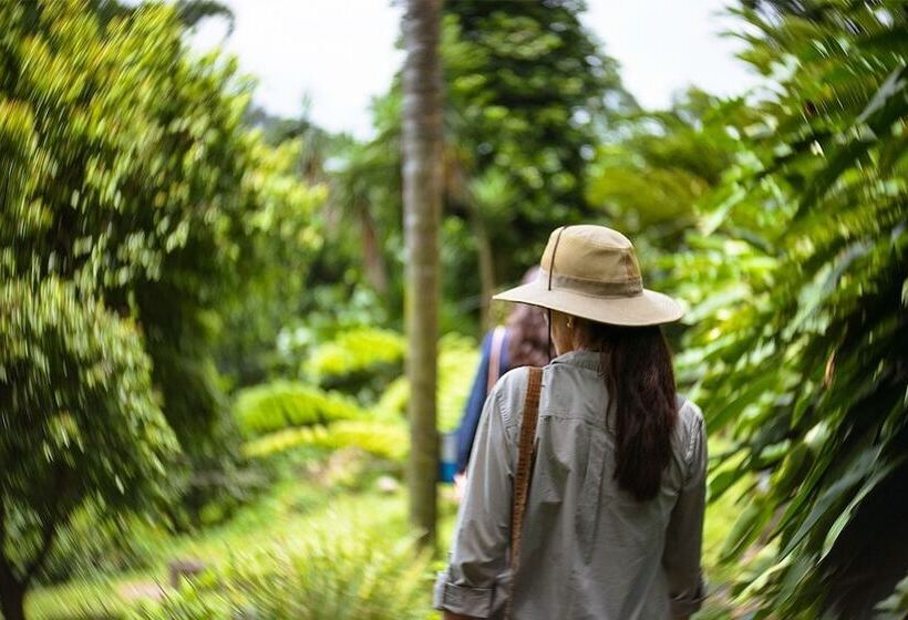 هتل Reserva Patrocinio