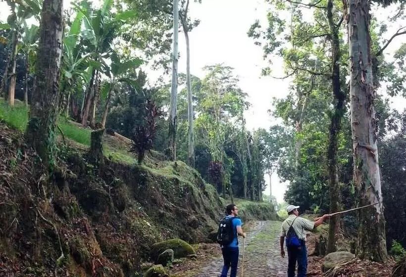 هتل Reserva Patrocinio
