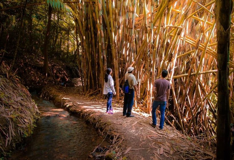 هتل Reserva Patrocinio
