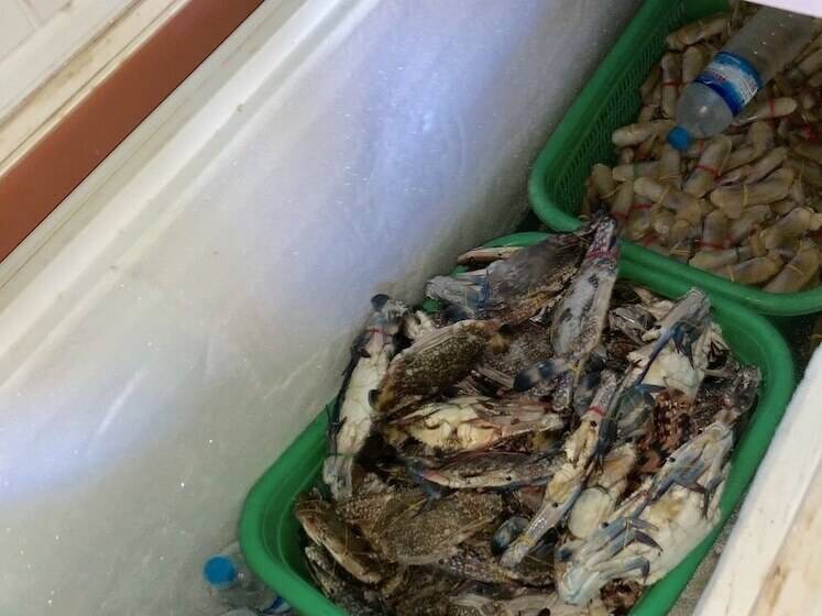 هتل Sea Breeze Lodge Ngapali