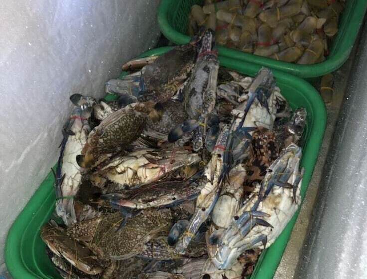 هتل Sea Breeze Lodge Ngapali