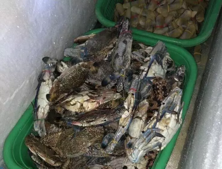 هتل Sea Breeze Lodge Ngapali