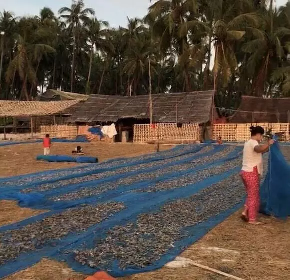 هتل Sea Breeze Lodge Ngapali