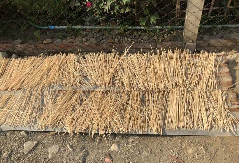 هتل Sea Breeze Lodge Ngapali