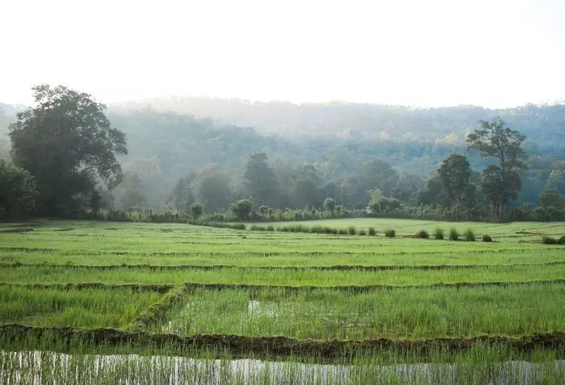 ホテル Tropicalfolks Campers Lodge