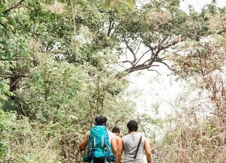 ホテル Tropicalfolks Campers Lodge