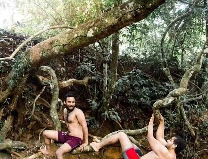 ホテル Tropicalfolks Campers Lodge