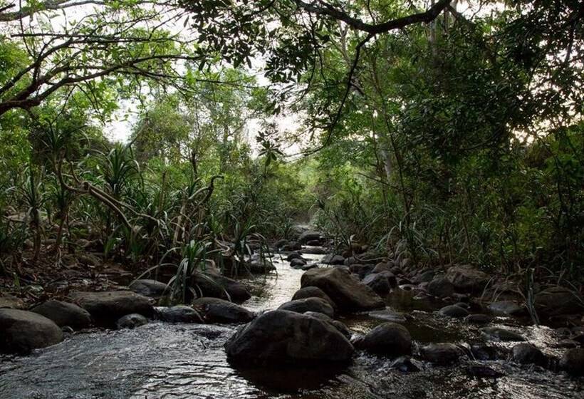 בית מלון כפרי Tropicalfolks Campers Lodge