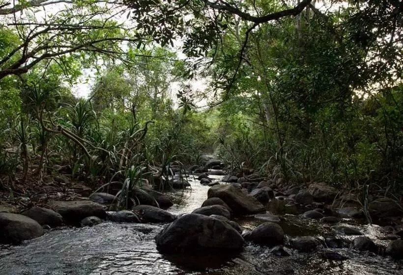 ホテル Tropicalfolks Campers Lodge