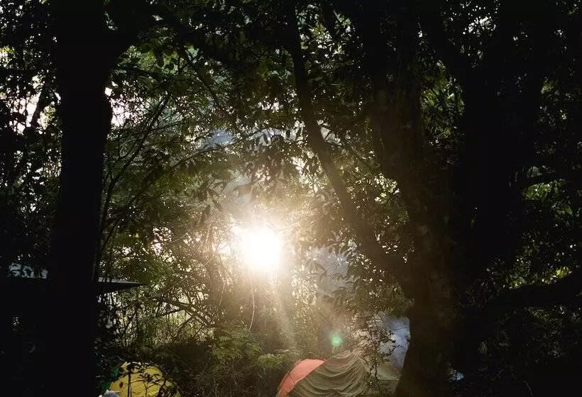 ホテル Tropicalfolks Campers Lodge