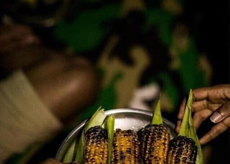 בית מלון כפרי Tropicalfolks Campers Lodge