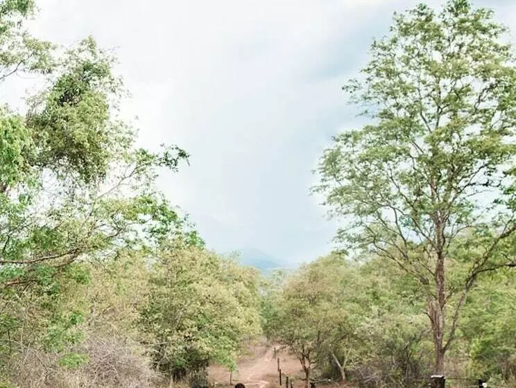 ホテル Tropicalfolks Campers Lodge