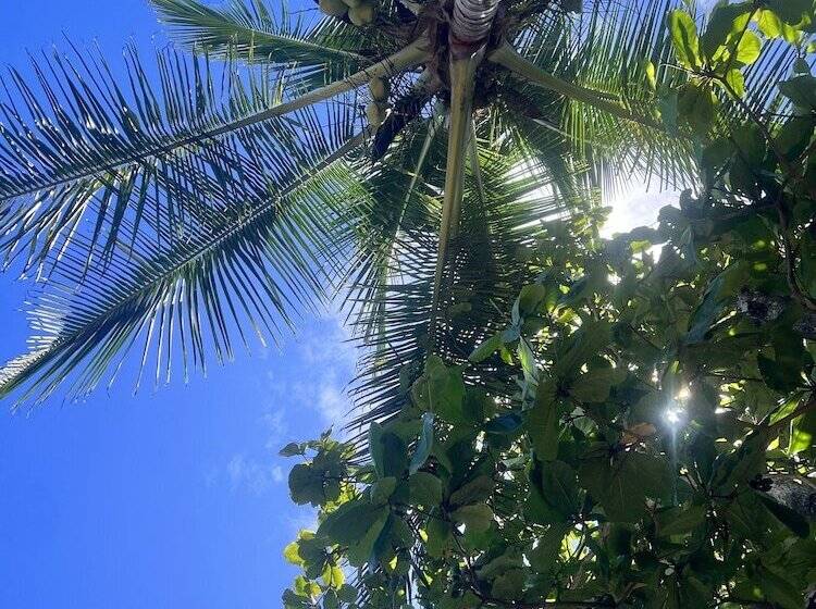 Ola Bonita Beachfront Apart