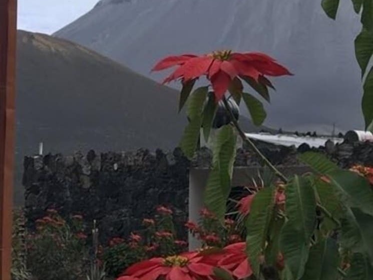 Pensione Oasis Coba Tina