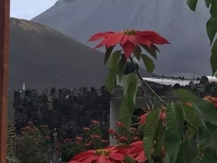 پانسیون Oasis Coba Tina