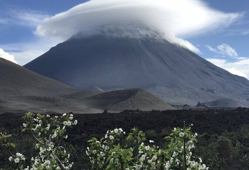 Pensione Oasis Coba Tina