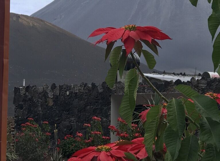 Pensione Oasis Coba Tina