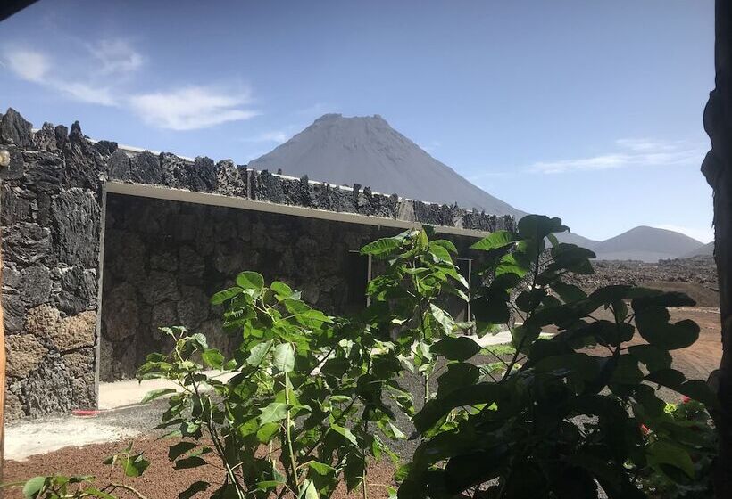 Pensione Oasis Coba Tina