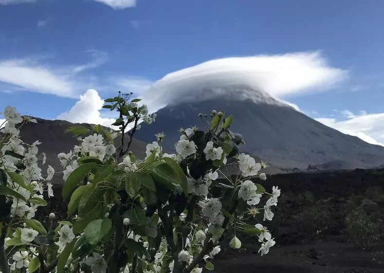 پانسیون Oasis Coba Tina