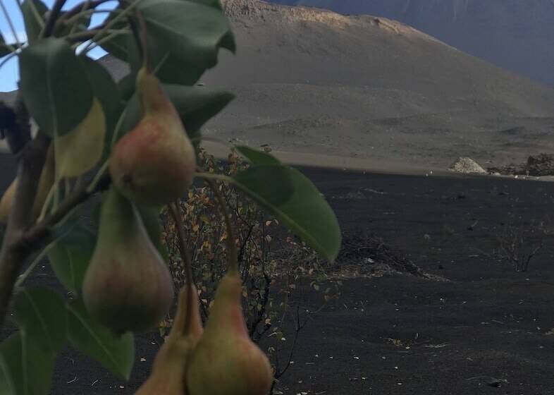 Pensione Oasis Coba Tina