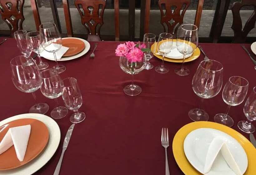 Pensione Oasis Coba Tina