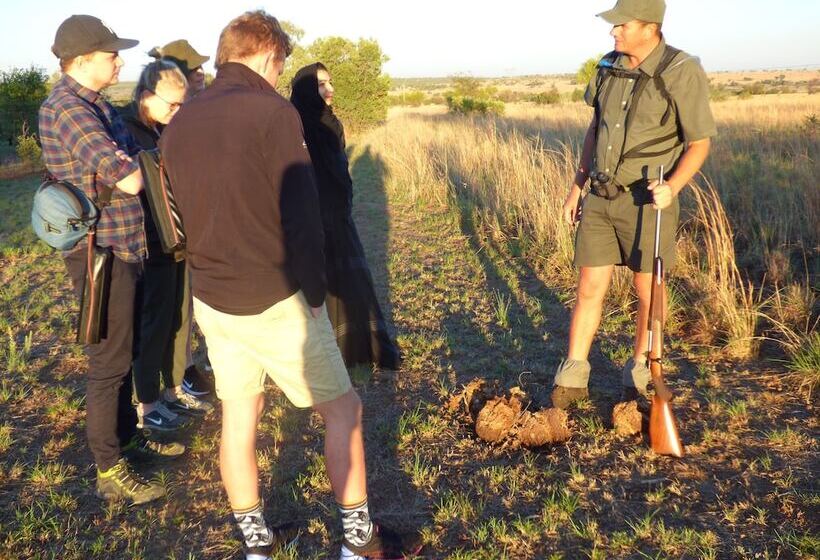 فندق Thorn Tree Bush Camp