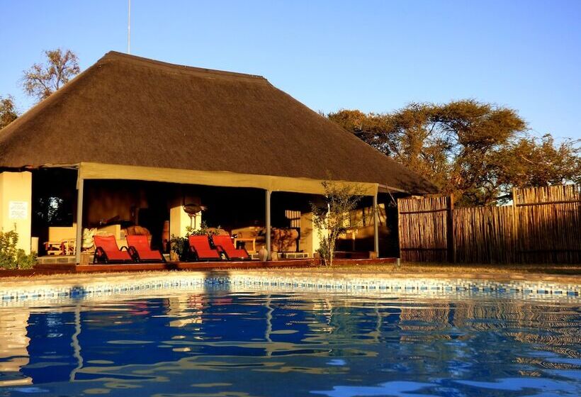 فندق Thorn Tree Bush Camp