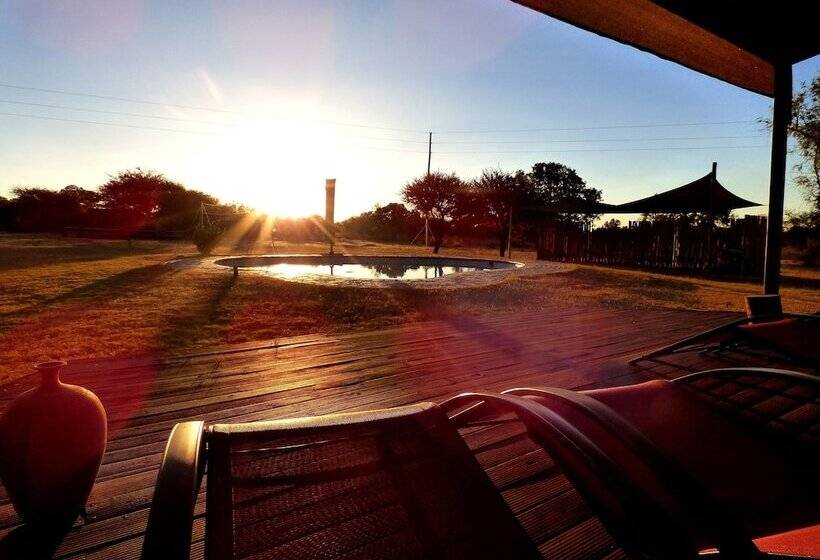 فندق Thorn Tree Bush Camp