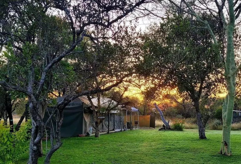 ホテル Thorn Tree Bush Camp