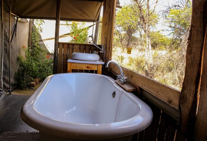 فندق Thorn Tree Bush Camp