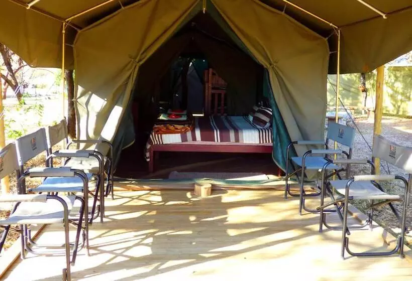ホテル Thorn Tree Bush Camp
