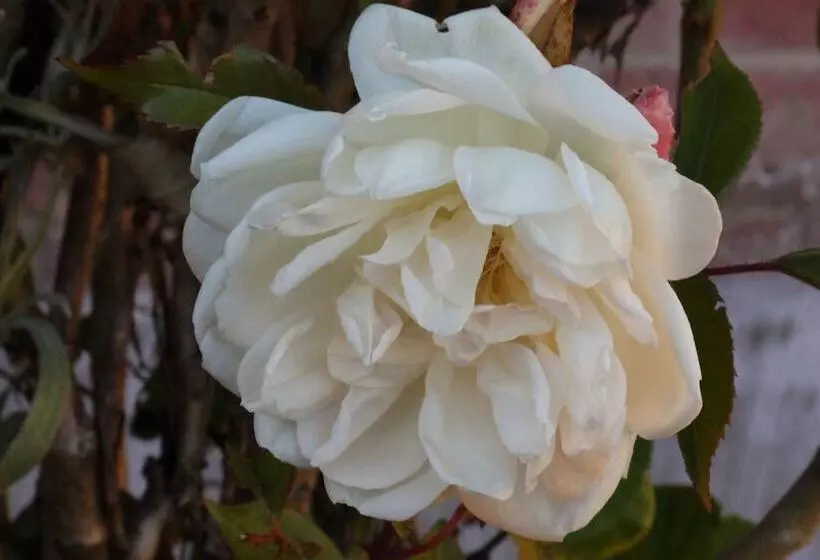 Majatalo Hostal Rosita Guayama Quilotoa