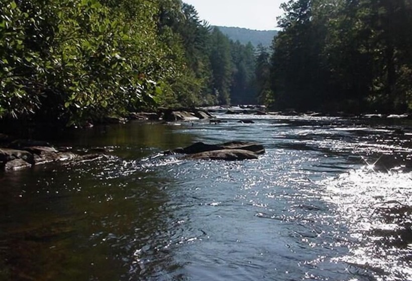 Pick S Riverside Retreat Nevaeh Cabin Rentals