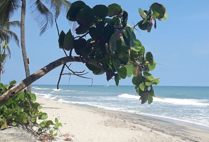 호스텔 Prima Luna Palomino