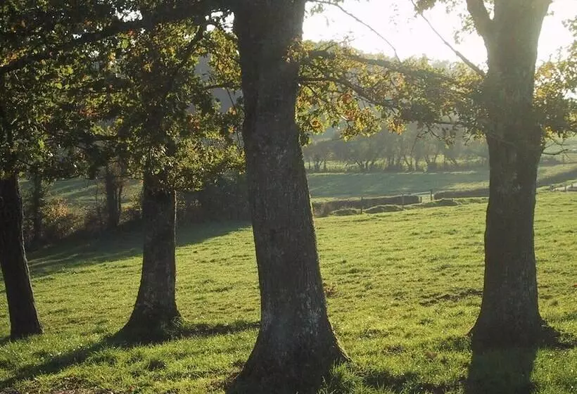 Chambres D Hôtes  B&b  La Bonneterie