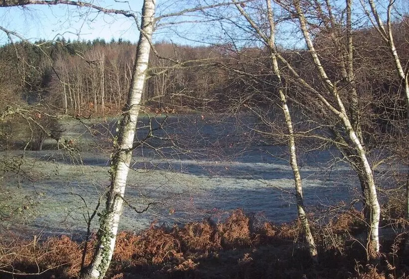 Chambres D Hôtes  B&b  La Bonneterie