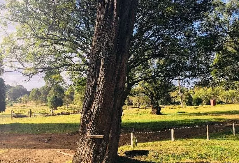 هتل Kentrout 1972