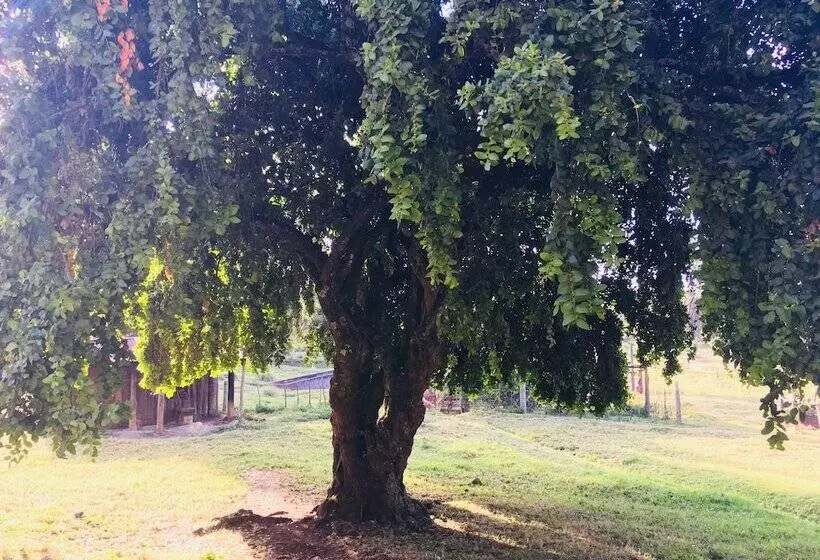 هتل Kentrout 1972