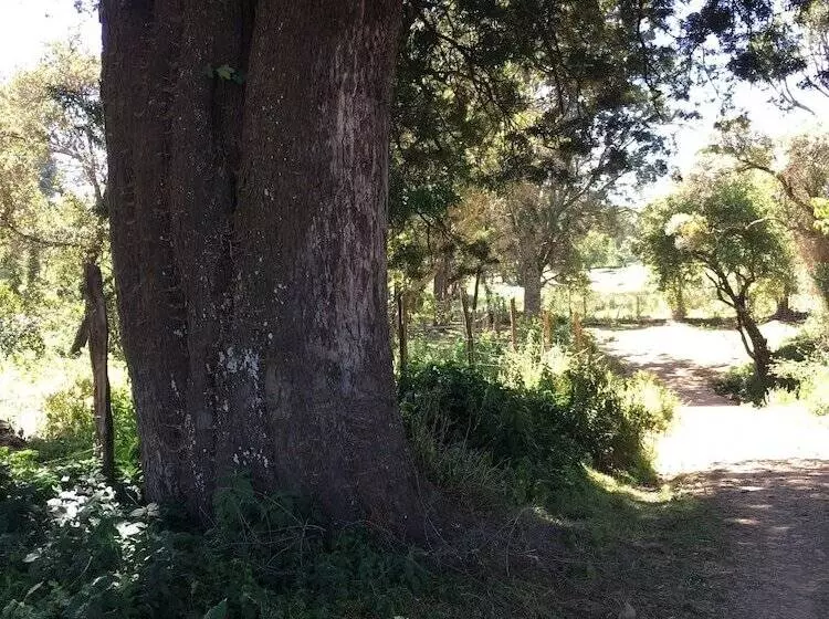 هتل Kentrout 1972