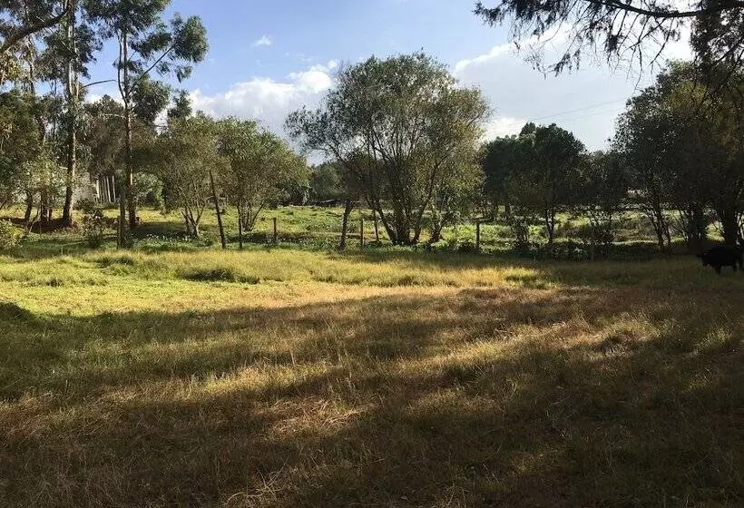 هتل Kentrout 1972