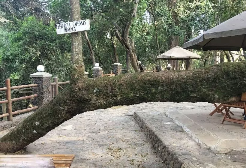 هتل Kentrout 1972