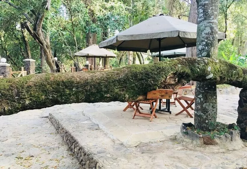 هتل Kentrout 1972