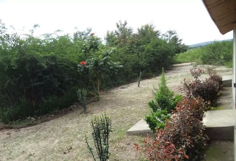 هتل The Elephant Home