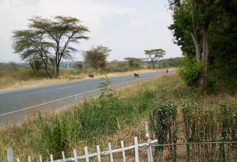 هتل The Elephant Home